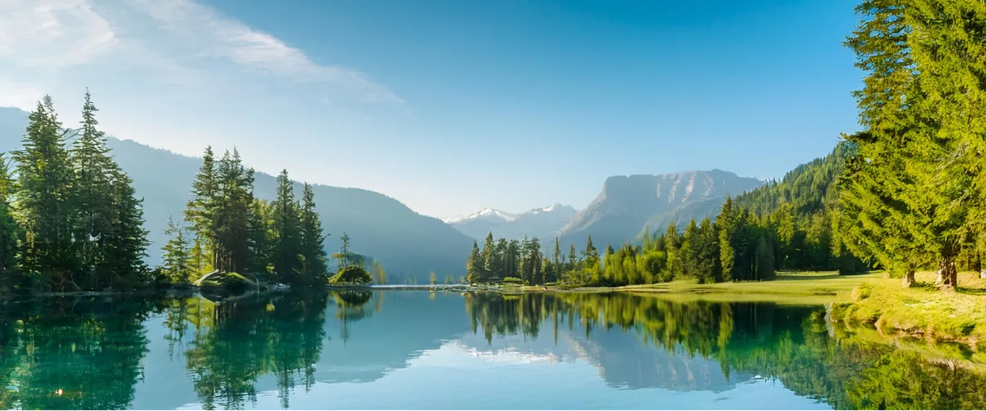 Firefly Clear Water On A Lake With Trees Reflected To It 27377